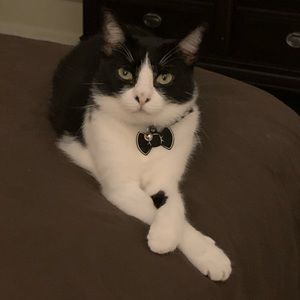 Meet your Posher, Isabel